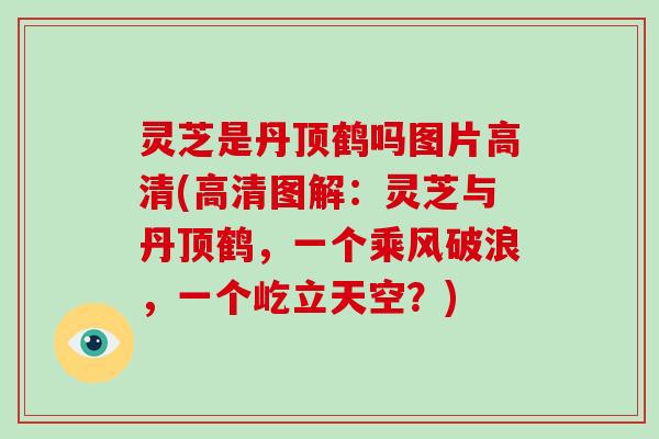 灵芝是丹顶鹤吗图片高清(高清图解：灵芝与丹顶鹤，一个乘风破浪，一个屹立天空？)