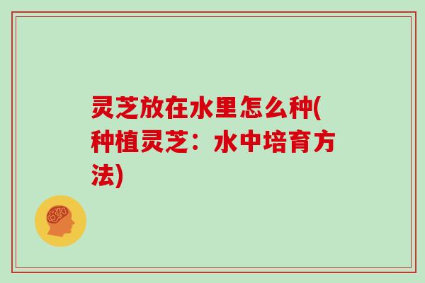 灵芝放在水里怎么种(种植灵芝：水中培育方法)