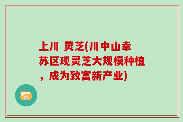 上川 灵芝(川中山幸苏区现灵芝大规模种植，成为致富新产业)