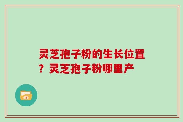灵芝孢子粉的生长位置?灵芝孢子粉哪里产