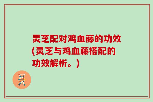 灵芝配对鸡血藤的功效(灵芝与鸡血藤搭配的功效解析。)
