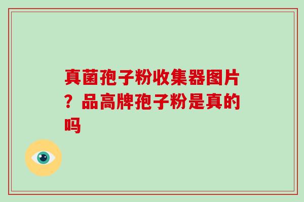 真菌孢子粉收集器图片？品高牌孢子粉是真的吗