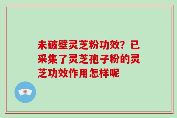 未破壁灵芝粉功效？已采集了灵芝孢子粉的灵芝功效作用怎样呢