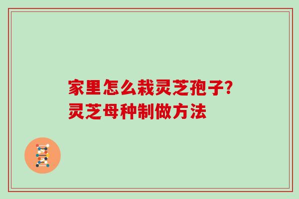 家里怎么栽灵芝孢子？灵芝母种制做方法