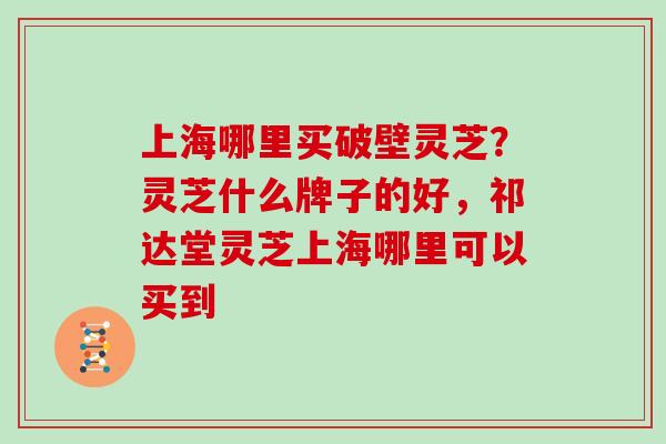 上海哪里买破壁灵芝？灵芝什么牌子的好，祁达堂灵芝上海哪里可以买到