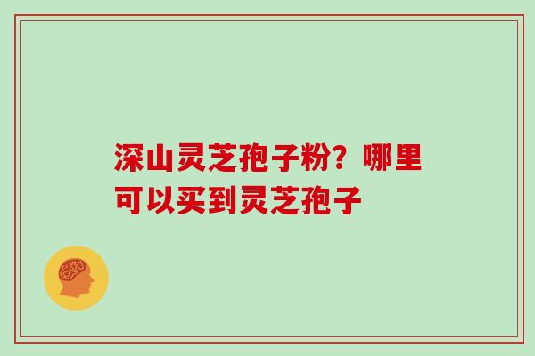深山灵芝孢子粉？哪里可以买到灵芝孢子