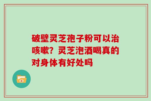 破壁灵芝孢子粉可以治咳嗽?灵芝泡酒喝真的对身体有好处吗