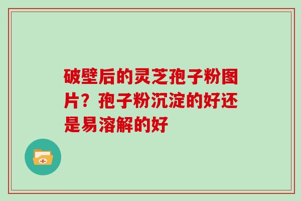 破壁后的灵芝孢子粉图片?孢子粉沉淀的好还是易溶解的好