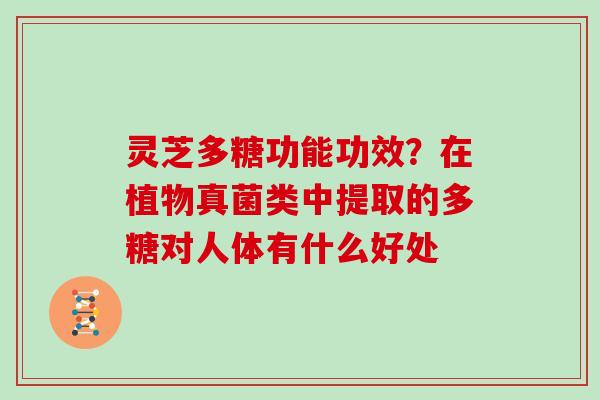 灵芝多糖功能功效？在植物真菌类中提取的多糖对人体有什么好处