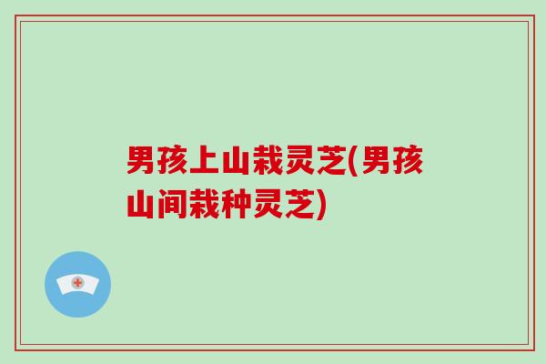 男孩上山栽灵芝(男孩山间栽种灵芝)