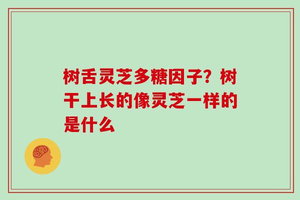树舌灵芝多糖因子?树干上长的像灵芝一样的是什么