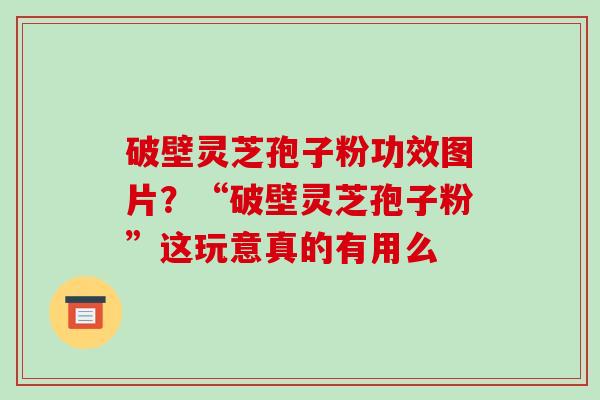 破壁灵芝孢子粉功效图片？“破壁灵芝孢子粉”这玩意真的有用么