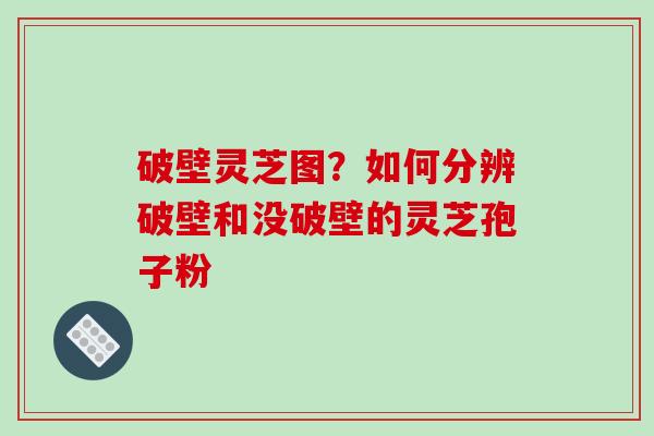 破壁灵芝图？如何分辨破壁和没破壁的灵芝孢子粉