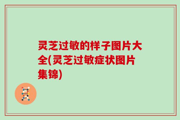 灵芝过敏的样子图片大全(灵芝过敏症状图片集锦)