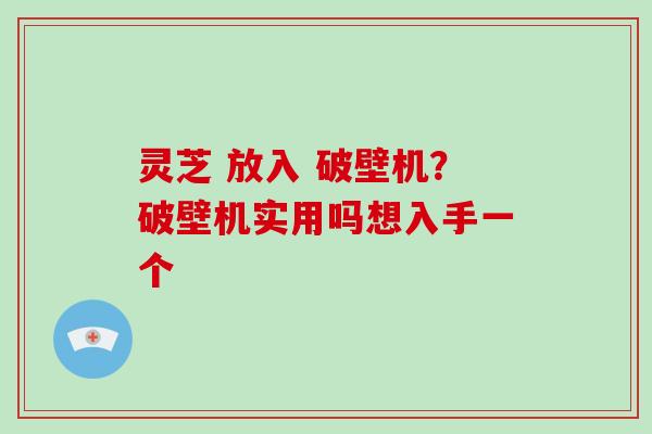 灵芝 放入 破壁机？破壁机实用吗想入手一个