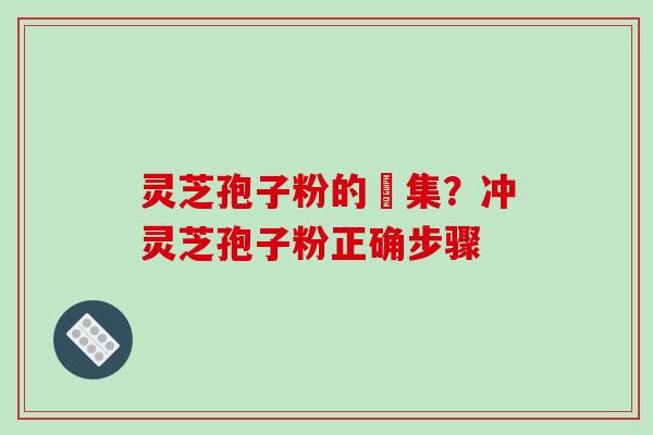 灵芝孢子粉的採集？冲灵芝孢子粉正确步骤