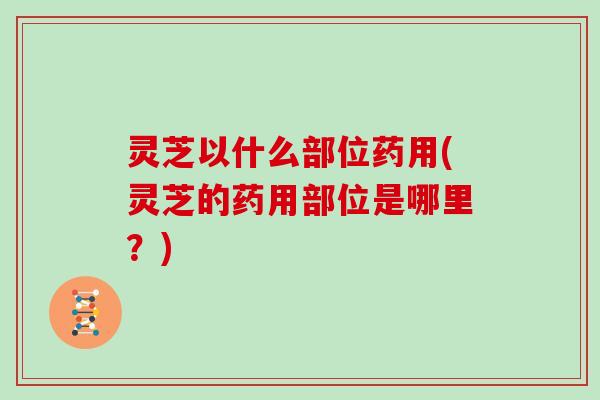 灵芝以什么部位药用(灵芝的药用部位是哪里?)