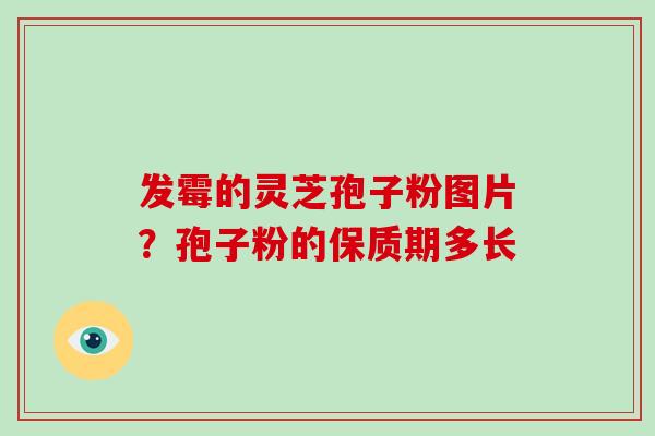 发霉的灵芝孢子粉图片？孢子粉的保质期多长