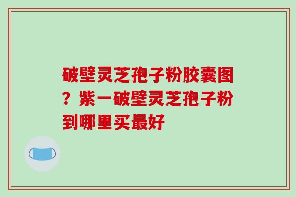 破壁灵芝孢子粉胶囊图？紫一破壁灵芝孢子粉到哪里买最好