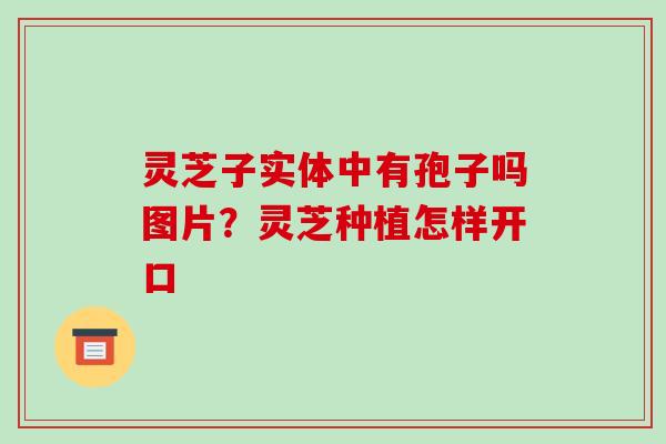 灵芝子实体中有孢子吗图片?灵芝种植怎样开口