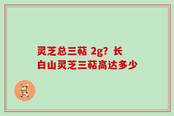 灵芝总三萜 2g？长白山灵芝三萜高达多少