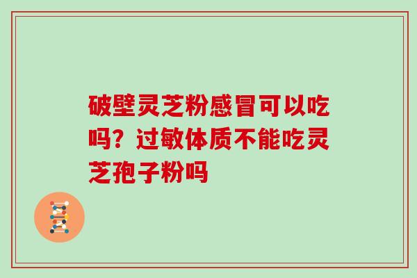 破壁灵芝粉感冒可以吃吗?过敏体质不能吃灵芝孢子粉吗