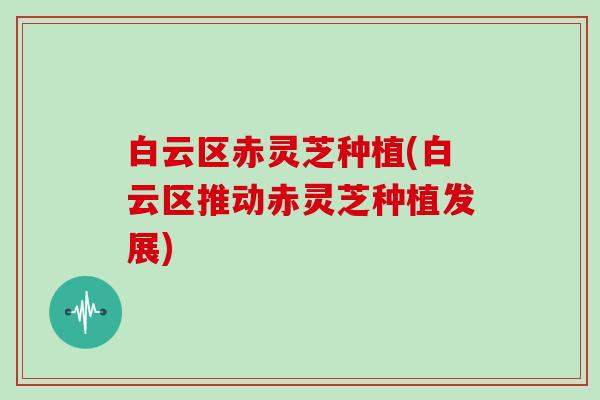 白云区赤灵芝种植(白云区推动赤灵芝种植发展)