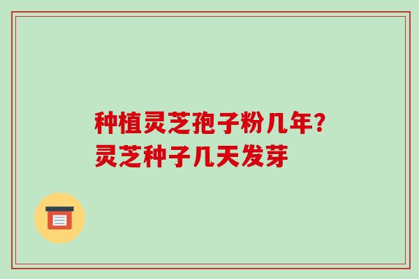 种植灵芝孢子粉几年?灵芝种子几天发芽