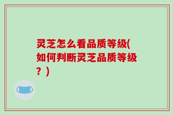灵芝怎么看品质等级(如何判断灵芝品质等级？)