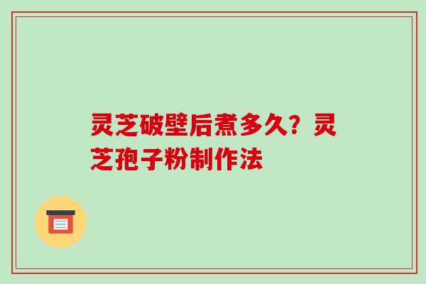 灵芝破壁后煮多久？灵芝孢子粉制作法