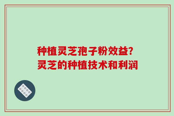种植灵芝孢子粉效益？灵芝的种植技术和利润