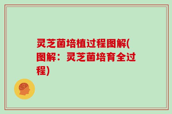 灵芝菌培植过程图解(图解：灵芝菌培育全过程)