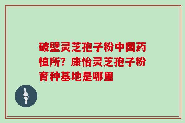 破壁灵芝孢子粉中国药植所？康怡灵芝孢子粉育种基地是哪里