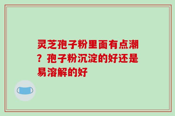 灵芝孢子粉里面有点潮？孢子粉沉淀的好还是易溶解的好