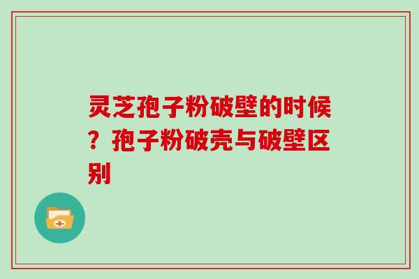 灵芝孢子粉破壁的时候？孢子粉破壳与破壁区别