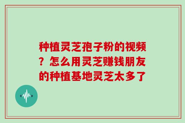 种植灵芝孢子粉的视频?怎么用灵芝赚钱朋友的种植基地灵芝太多了