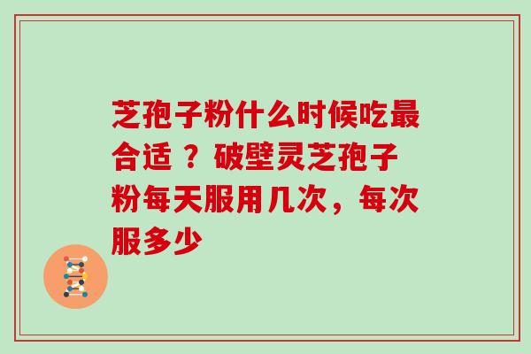 芝孢子粉什么时候吃最合适 ？破壁灵芝孢子粉每天服用几次，每次服多少