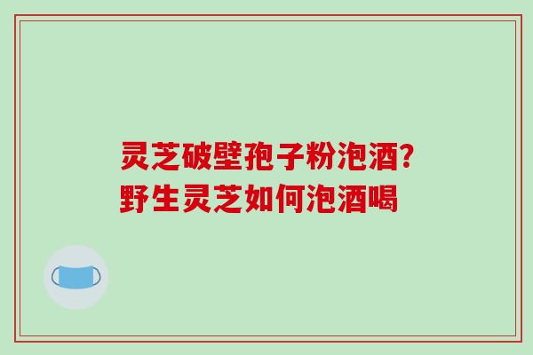 灵芝破壁孢子粉泡酒？野生灵芝如何泡酒喝