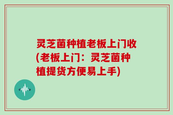 灵芝菌种植老板上门收(老板上门：灵芝菌种植提货方便易上手)