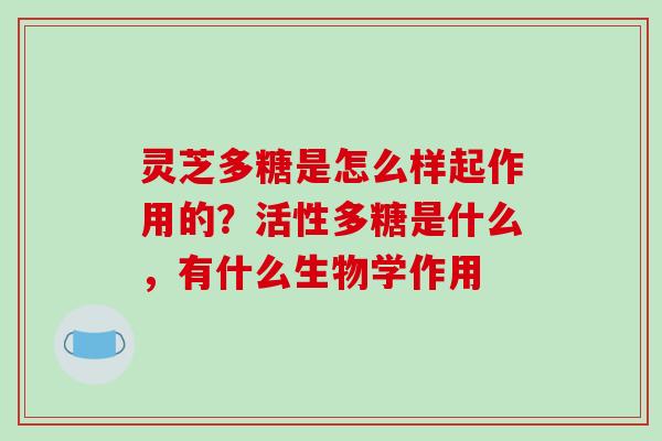 灵芝多糖是怎么样起作用的?活性多糖是什么,有什么生物学作用