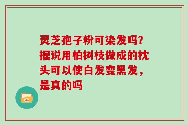灵芝孢子粉可染发吗？据说用柏树枝做成的枕头可以使白发变黑发，是真的吗