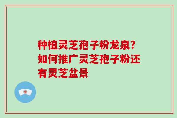 种植灵芝孢子粉龙泉？如何推广灵芝孢子粉还有灵芝盆景