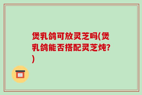 煲乳鸽可放灵芝吗(煲乳鸽能否搭配灵芝炖？)