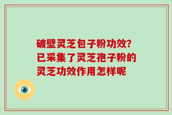破壁灵芝包子粉功效？已采集了灵芝孢子粉的灵芝功效作用怎样呢