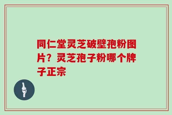 同仁堂灵芝破壁孢粉图片？灵芝孢子粉哪个牌子正宗