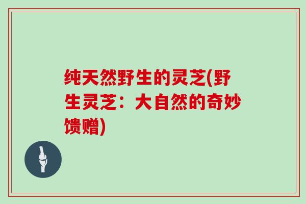 纯天然野生的灵芝(野生灵芝:大自然的奇妙馈赠)
