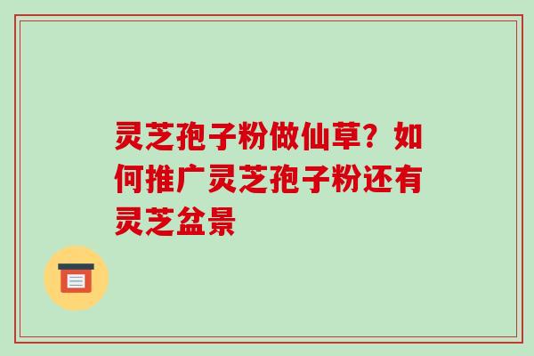 灵芝孢子粉做仙草？如何推广灵芝孢子粉还有灵芝盆景