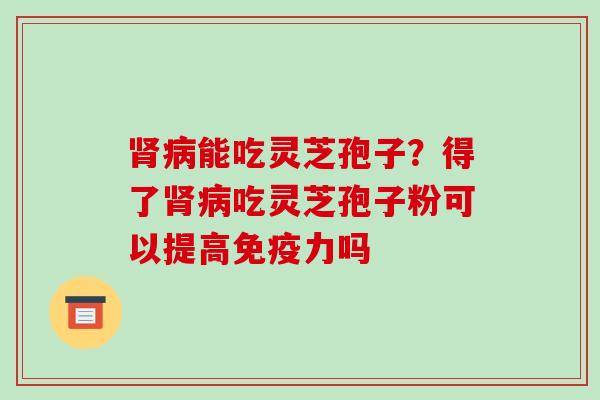 肾病能吃灵芝孢子?得了肾病吃灵芝孢子粉可以提高免疫力吗