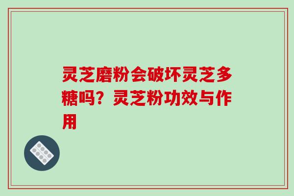 灵芝磨粉会破坏灵芝多糖吗？灵芝粉功效与作用
