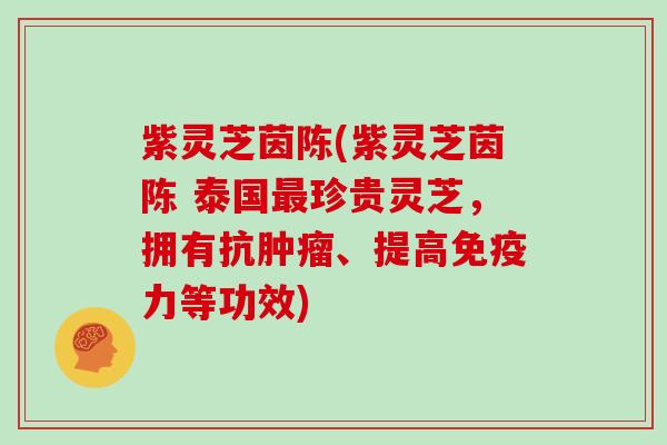 紫灵芝茵陈(紫灵芝茵陈 泰国最珍贵灵芝，拥有抗肿瘤、提高免疫力等功效)